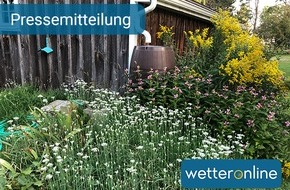 WetterOnline Meteorologische Dienstleistungen GmbH: Garten und Klimawandel: Anpassung an die Veränderungen - Regenwasser richtig nutzen