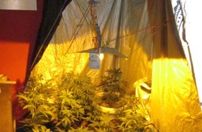 Polizeipräsidium Mittelhessen - Pressestelle Lahn - Dill: POL-LDK: Polizei entdeckt Cannabis Indoor-Plantage in Wetzlar-Hermannstein