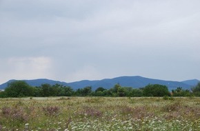 Deutsche Bundesstiftung Umwelt (DBU): DBU: Schutz von Orchideen und wildem Majoran am Ebenberg forcieren