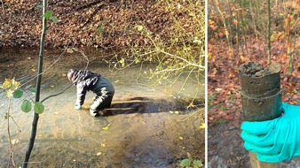 Universität Duisburg-Essen: Hitzestress im Flussbett: Studie untersucht Fluss-Mikrobiom