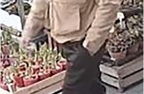 Polizei Hamburg: POL-HH: 260330-1. &Ouml;ffentlichkeitsfahndung nach &Uuml;berfall auf eine Seniorin in Hamburg-Stellingen