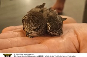 Feuerwehr München: FW-M: "Der Vogelhändler" im Nationaltheater? (Altstadt)