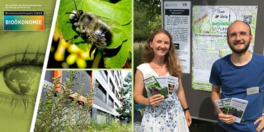 Universität Hohenheim: Artenschutz vor der Haustür: Initiative "Bunte Wiese Stuttgart" wirbt für mehr Unordnung