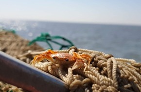 Tourismus Marketing Service Büsum GmbH: Büsum unter Wasser – Maritime Einblicke eines historischen Nordseeortes