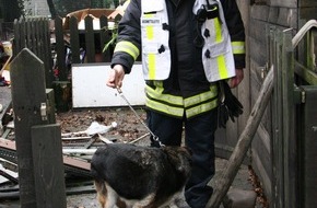 Feuerwehr Essen: FW-E: Hundezwingeranlage Raub der Flammen, fünf Tiere verendet