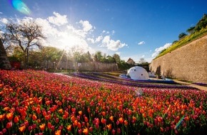 Bundesgartenschau Erfurt 2021 gGmbH: BUGA-Besuch in Erfurt vereinfacht sich ab 21.Mai 2021