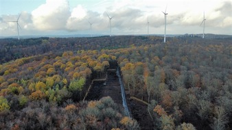 Koehler Group: Windpark Blasbach - Koehler Renewable Energy setzt umfangreiche Artenschutz-Maßnahmen um