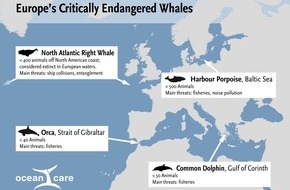 OceanCare: Scientists warn:  European whales and dolphins “Under Pressure” of extinction