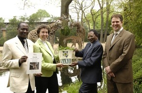 Deutscher Teeverband e.V.: Tee verbindet: Tea Board of Kenya übernimmt Patenschaft für Giraffenbaby "Layla-Nandi" in Hagenbecks Tierpark