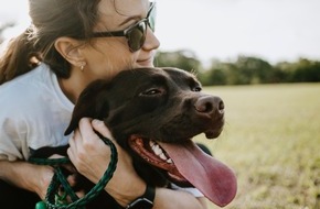 Luko Cover SAS: Luko-Auswertung zum Welthundetag: Der Labrador ist der am häufigsten versicherte Rassehund