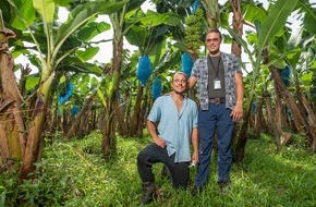 Global Nature Fund: Gelbes Gold: Bananen und Ananas für Biologische Vielfalt
