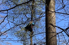 Freiwillige Feuerwehr Olsberg: FF Olsberg: Gleitschirmflieger in Olsberg Elpe abgestürzt