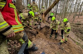 Freiwillige Feuerwehr Wachtberg: FW Wachtberg: Feuerwehr Wachtberg befreit Hund aus Fuchsbau in einem Waldst&uuml;ck bei Wachtberg-Villip