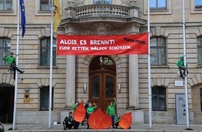 Robin Wood e.V.: EUDR zügig umsetzen: Keine Einfallschneise für den Handel mit Holz aus Entwaldung und Waldschädigung!