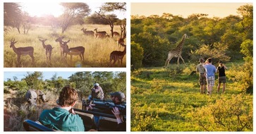 South African Tourism: Familiensafari in Südafrika – leuchtende Kinderaugen garantiert