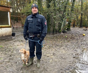 POL-STD: Veterinäramt Landkreis Stade nimmt Hundehalterin Tiere weg - Polizei unterstützt, Kupferdiebe an zwei Firmengebäuden in Stade, Zwei Autos am Horneburger Bahnhof aufgebrochen