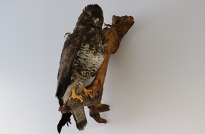 Hauptzollamt Kiel: HZA-KI: Artenschutz kennt keine Grenzen - Zoll sch&uuml;tzt bedrohte Tiere und Pflanzen