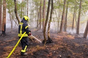 Feuerwehr Heimbach: FW Heimbach: Stundenlanger und kr&auml;ftezehrender Einsatz bei Waldbrand