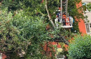 Feuerwehr München: FW-M: Baum stürzt auf Mehrfamilienhaus (Untergiesing-Harlaching)