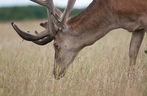 Demobetriebe Ökologischer Landbau: Mit einer Nische zum Erfolg