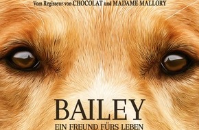 Constantin Film: BAILEY - EIN FREUND FÜRS LEBEN / Ab 23. Februar 2017 im Kino