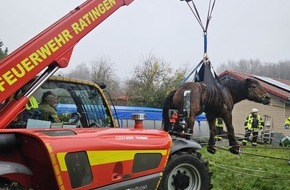 Feuerwehr Ratingen: FW Ratingen: Überörtlicher Einsatz nach Erkrath zu einem Großtier in Not