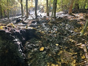 FW Stuttgart: Waldbrand auf 6.500 Quadratmetern in Stuttgart-Rohracker