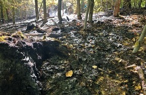 Feuerwehr Stuttgart: FW Stuttgart: Waldbrand auf 6.500 Quadratmetern in Stuttgart-Rohracker