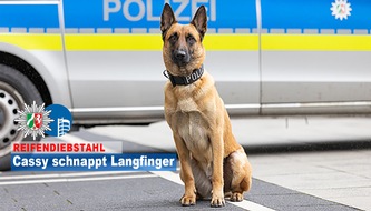 Polizeipräsidium Oberhausen: POL-OB: Cassy schnappt sich Langfinger - Wachsame Nachbarn informieren Polizei