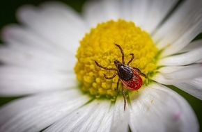 BGV - Info Gesundheit e.V.: Zecken: Auch Kinder gegen FSME impfen lassen