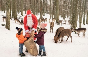 Erlebnispark Tripsdrill: WinterWunderWald im Wildparadies Tripsdrill