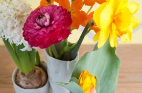 Blumenbüro: Raue Schale, blühender Kern: Mit Zwiebelblühern durch das Jahr (mit Bild)