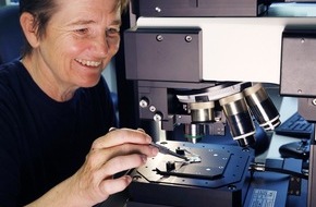 Universität Duisburg-Essen: Ranzoomen bis auf ein halbes Mü - Neues Hightech-Mikroskop in der Physik