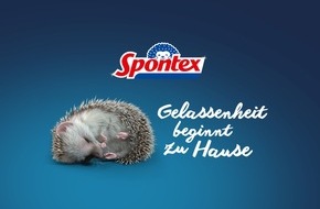 MAPA GmbH / Spontex: Spontex setzt sich für weniger Mental Load im Haushalt ein