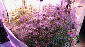 Kreispolizeibehörde Soest: POL-SO: Rüthen - Cannabispflanzen in Mietwohnung