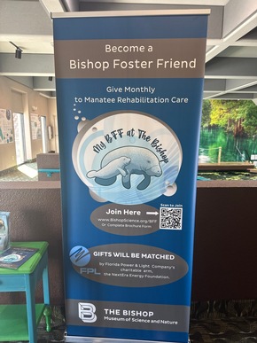 Bradenton Gulf Islands: Wo Natur und Umweltschutz die Reise bestimmen