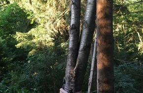 Feuerwehr Wetter (Ruhr): FW-EN: Wetter - Baum droht umzustürzen, Gasgeruch und Person hinter verschlossener Tür