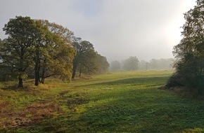 Deutsche Bundesstiftung Umwelt (DBU): DBU: Managementplan für DBU-Naturerbefläche Roßlauer Elbauen steht