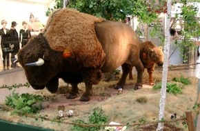 Polizei Rhein-Erft-Kreis: POL-REK: Wo sind die Bären, das Bison und der Puma?