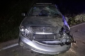 Polizeidirektion Worms: POL-PDWO: Verkehrsunfall infolge Alkoholgenusses