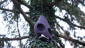 Schweizerischer Nationalfonds / Fonds national suisse: Robot swings its way to unexplored treetops