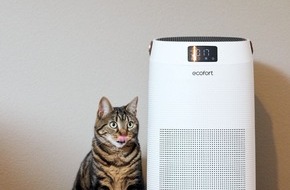 ecofort AG: Wenn die Wohnung zur Gefahr f&uuml;r die Katze wird