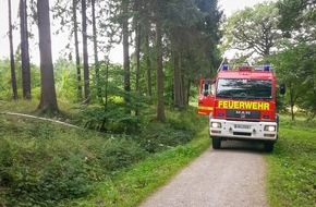 Freiwillige Feuerwehr Menden: FW Menden: Bodenfeuer im Wald