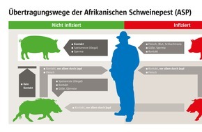 Animal Rights Watch e.V.: Politik treibt Ausbreitung der Schweinepest voran / Wildschweine als falscher Sündenbock - Bauern graben sich eigene Grube