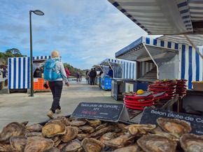 Naturschauspiel Springtiden hautnah: Winterurlaub in der Bretagne