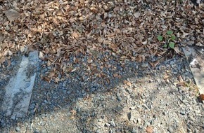 Polizeiinspektion Waldfischbach-Burgalben: POL-PIWFB: Holzbank im Klappertal entwendet