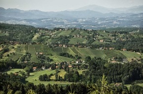Wein Steiermark: Steirische Riedenweine im Vergleich
