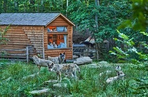 Tourismus Marketing GmbH Baden-Württemberg: Presse-Feature: Wo die Wölfe heulen