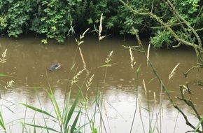 Polizeiinspektion Wilhelmshaven/Friesland: POL-WHV: Krokodil Attrappe im Hookstief führt zu Polizeieinsatz (mit Bild)