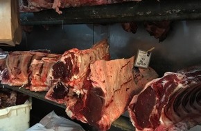 ZDF: Steaks aus dem Brutkasten: "planet e." im ZDF über Laborfleisch (FOTO)